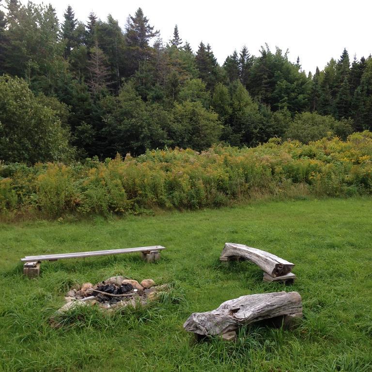Breton Cove Farmhouse Guest House Indian Brook Bagian luar foto