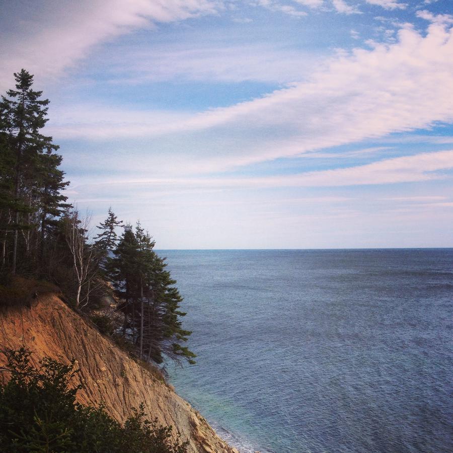 Breton Cove Farmhouse Guest House Indian Brook Bagian luar foto